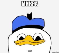 МИКРА ...