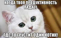 Когда твоя продуктивность падает Где-то грустит один котик!