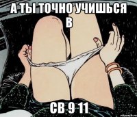 а ты точно учишься в св 9 11