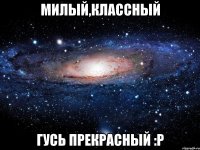 милый,классный Гусь прекрасный :Р