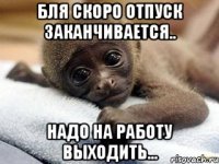 Бля скоро отпуск заканчивается.. Надо на работу выходить...