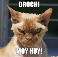 drochi moy huy!