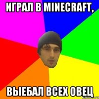 Играл в Minecraft, Выебал всех овец