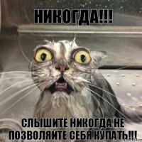 никогда!!! слышите никогда не позволяйте себя купать!!!