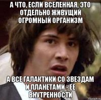 А что, если Вселенная, это отдельно живущий огромный организм а все галактики со звездам и планетами - ее внутренности