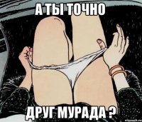 А ты точно друг Мурада ?