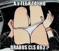 а у тебя точно Brabus CLS B63 ?