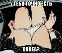 у тебя точно есть orbea?