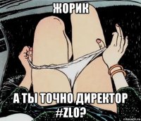 жорик а ты точно директор #zlo?