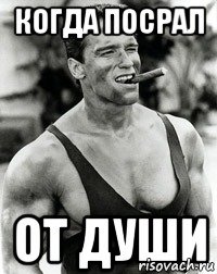 когда посрал от души