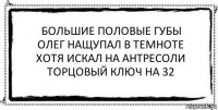 Большие половые губы
Олег нащупал в темноте
Хотя искал на антресоли
Торцовый ключ на 32 