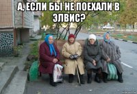 а, если бы не поехали в элвис? 