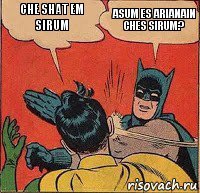 Che shat em sirum Asum es Arianain ches sirum?