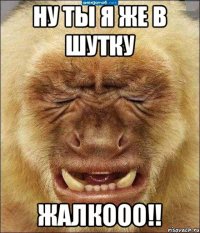 ну ты я же в шутку жалкооо!!