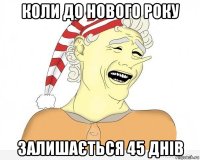 коли до нового року залишається 45 днів