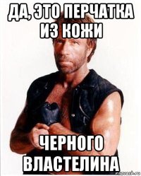 да, это перчатка из кожи черного властелина