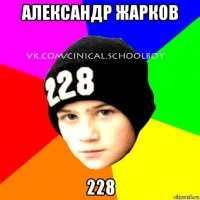александр жарков 228