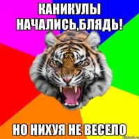 Каникулы начались,блядь! Но нихуя не весело