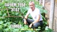 зачем тебе этот гемор