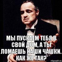 МЫ ПУСКАЕМ ТЕБЯ В СВОЙ ДОМ, А ТЫ ЛОМАЕШЬ НАШИ ЧАШКИ. КАК ЖЕ ТАК?