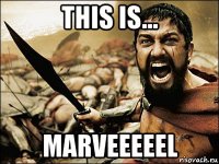 this is… marveeeeel