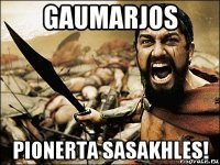 gaumarjos pionerta sasakhles!