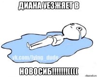 диана уезжяет в новосиб!!!!!!!((((