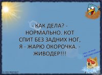 - Как дела? - Нормально. Кот спит без задних ног, я - жарю окорочка. - Живодер!!!