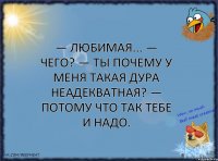 — Любимая... — Чего? — Ты почему у меня такая дура неадекватная? — Потому что так тебе и надо.