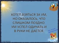 Хотел взяться за ум, но оказалось, что слишком поздно. Ум успел одичать и в руки не даётся.