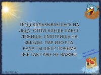 Подскальзываешься на льду. Отпускаешь пакет. Лежишь, смотришь на звезды. Пар изо рта. Куда ты шел? Почему всё так? Уже не важно.