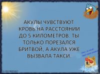 Акулы чувствуют кровь на расстоянии до 5 километров. Ты только порезался бритвой, а акула уже вызвала такси.