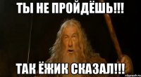 Ты не пройдёшь!!! Так ёжик сказал!!!