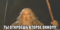  ТЫ ОТКРОЕШЬ ВТОРОЕ ОКНО!!!!