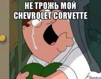 не трожь мой Chevrolet Corvette 