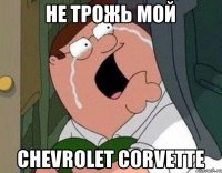 не трожь мой Chevrolet Corvette