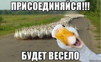 ПРИСОЕДИНЯЙСЯ!!! БУДЕТ ВЕСЕЛО