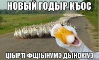 Новый годыр къос ЦIыртI фщIынумэ дынокIуэ