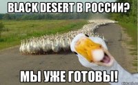 Black Desert в России? Мы уже готовы!