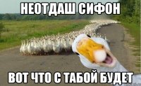 Неотдаш сифон Вот что с табой будет