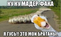 Ку ку мадер фака Я гусь!! Это мои братаны.