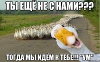 ТЫ ЕЩЁ НЕ С НАМИ??? ТОГДА МЫ ИДЁМ К ТЕБЕ!!! "УМ"