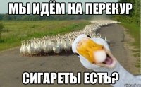 мы идём на перекур сигареты есть?