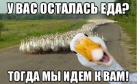 у вас осталась еда? тогда мы идем к вам!