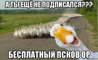 а ты ещё не подписался??? бесплатный псков 0р