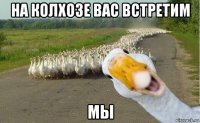 на колхозе вас встретим мы