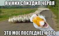 я у них спиздил червя это мое последнее фото