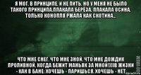 я мог, в принципе, и не пить, но у меня не было такого принципа.плакала берёза, плакала осина, только конопля ржала как скотина... что мне снег, что мне зной, что мне дождик проливной, когда бежит маньяк за мной!)))в жизни - как в бане: хочешь - паришься, хочешь - нет