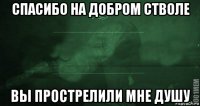 спасибо на добром стволе вы прострелили мне душу