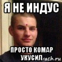 Индус мем. Я индус Мем. ТЭКС Мем индус. Мем индус альфач. Индус Мем Никита.